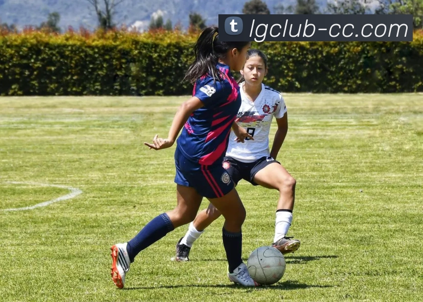 老哥俱乐部官网品牌故事