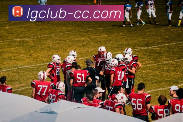 老哥俱乐部官网服务体系